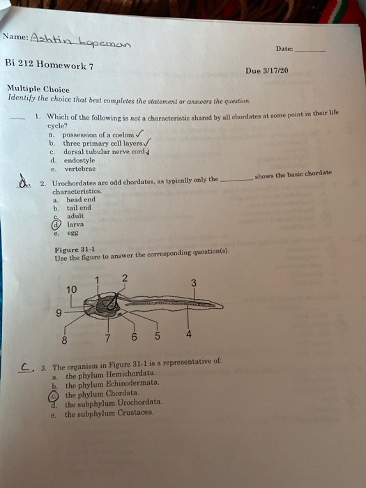 Name: Ashtin bopeman Date: Bi 212 Homework 7 Due 3/17/20 Multiple Choice Identify the choice that best completes the statemen