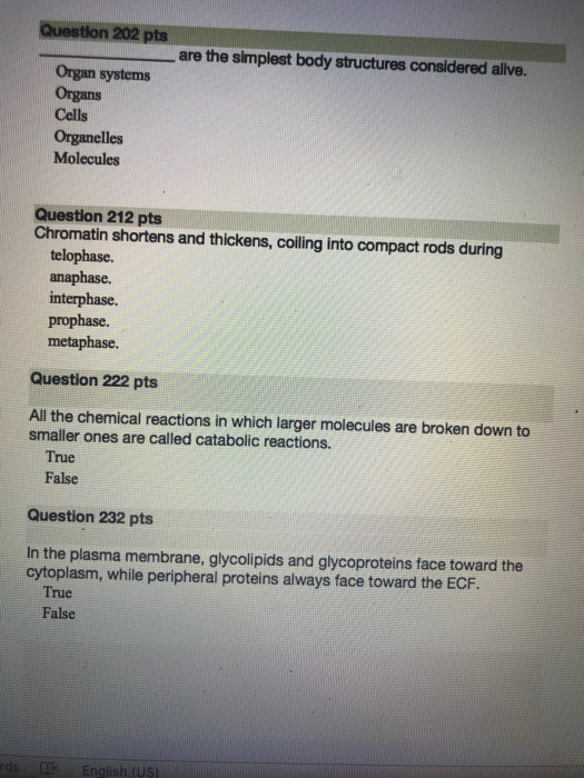 are the simplest body structures considered alve. Organ systems Organs Cells Organelles Molecules Question 212 pts Chromatin shortens and thickens, coiling into compact rods during telophase. anaphase. interphase. prophase. metaphase. Question 222 pts All the chemical reactions in which larger molecules are broken down to smaller ones are called catabolic reactions. True False Question 232 pts In the plasma membrane, glycolipids and glycoproteins face toward the cytoplasm, while peripheral proteins always face toward the ECF True False