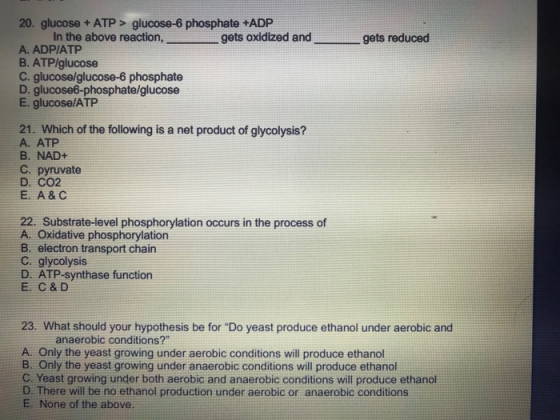 gets reduced 20. glucose + ATP > glucose-6 phosphate +ADP In the above reaction, - A. ADPIATP B. ATP/glucose C. glucose/gluco