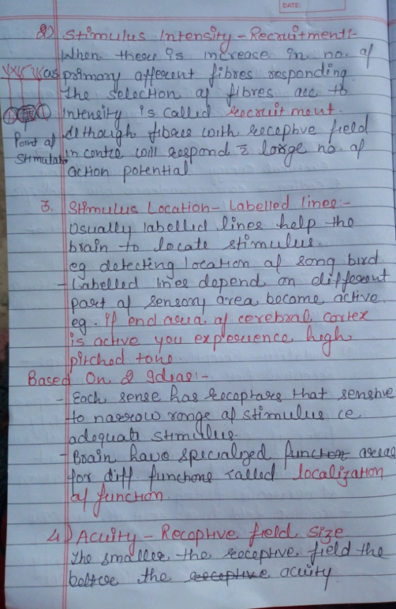 DATE: Shimulus Intensity Recxuitment2 bres nos h.a 0 is Ca Sthmulus Locatioh- Labelled lineg is achve you explooienco 5%chod