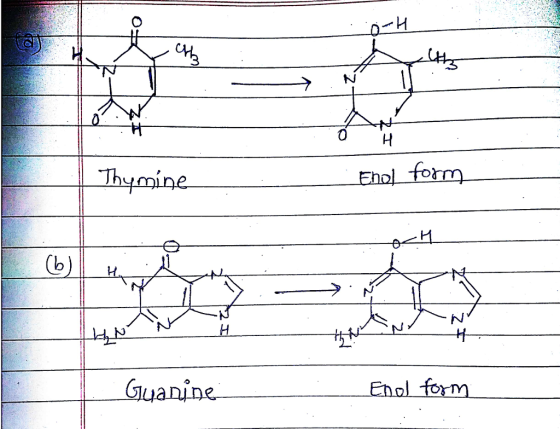 oH Thymine Ehol torm (b) H De. Enol form