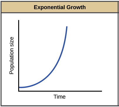 Exponential Growth Population size Time