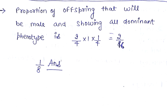 Proportion offs of that will fspring be male and showing all dominant phenotype is 9 XIX. 4 86 I And oof