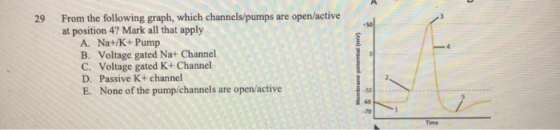 29 From the following graph, which channels/pumps are open/active at position 4? Mark all that apply A. Na+/K+ Pump B. Voltag