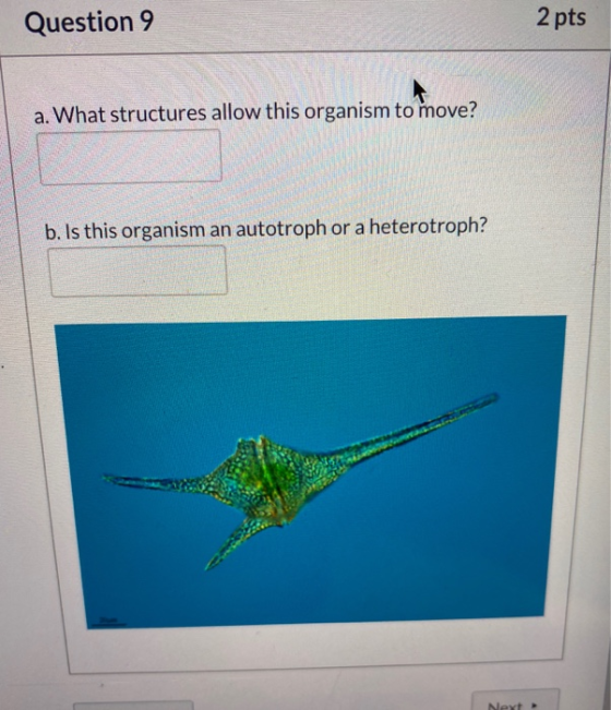 Question 9 2 pts a. What structures allow this organism to move? b. Is this organism an autotroph or a heterotroph? Neyt