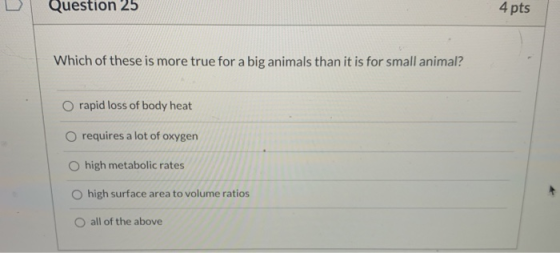 Question 25 4 pts Which of these is more true for a big animals than it is for small animal? rapid loss of body heat O requir