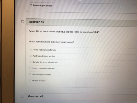 O Paranthropus boisei D Question 45 Select ALL of the hominins that have the trait listed for questions 39-45. Which hominins have extremely large molars? O Homo habilis/rudolfensis O Australopithecus sediba O Sahelanthropus tchadensis O Homo neanderthalensis O Paranthropus boisei Homo erectus Question 46