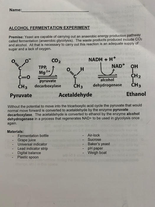 Name: ALCOHOL FERMENTATION EXPERIMENT Premise: Yeast are capable of carrying out an anaerobic energy production pathway calle
