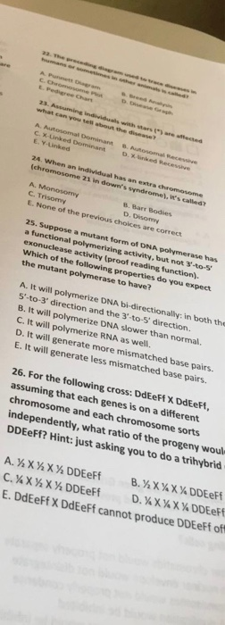 hect AP C. Come .com what can you tell A Autosomal Domina CX-Unted Dominant the d e E.Y.Linked 3. Atom Rece 24. When an indiv