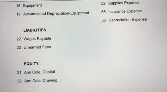 18 Equipment 52 Supplies Expense 19 Accumulated Depreciation-Equipment 55 Insurance Expense 56 Depreciation Expense LIABILITI