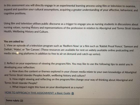 In this assessment you will directly engage in an experimental learning process using film or television to examine expand an