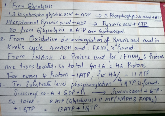 From Glycolysisi 1,3 bisphospho glycelic aud + ADP - 3 Phosphoglycric acid +ATP Phosphoenol Pyruvic acid +ADP Pyruvic acid +
