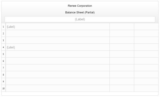 Renee Corporation Balance Sheet (Partial) (Label) 1 (Label) (Label)