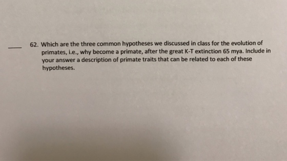62. Which are the three common hypotheses we discussed in class for the evolution of primates, i e., why become a primate, after the great K-Textinction 65 mya. Include in your answer a description of primate traits that can be related to each of these hypotheses.