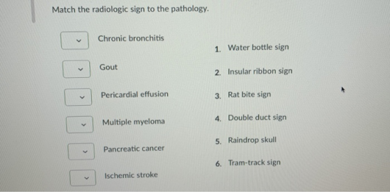 Match the radiologic sign to the pathology. Chronic bronchitis 1. Water bottle sign Gout 2. Insular ribbon sign Pericardial e