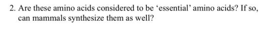 2. Are these amino acids considered to be essential amino acids? If so, can mammals synthesize them as well?