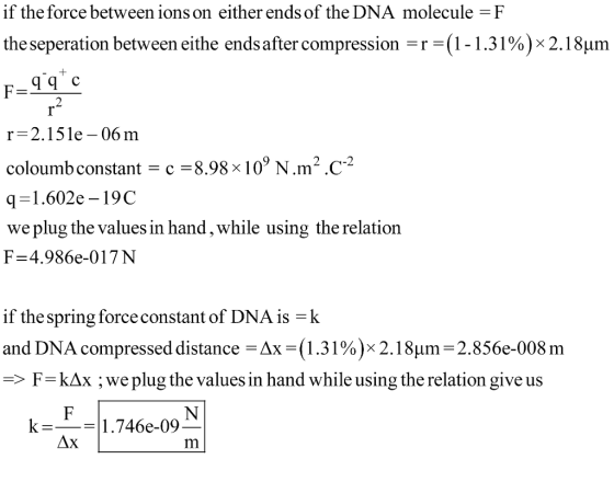 if the force between ions on either ends of the DNA molecule =F the seperation between eithe ends after compression ( 1-1 .31 %): 2. I 8um r r 2.15le- 06 m coloumb constant c-8.98x 10 N.mC q1.602e-19C we plug the values in hand, while using the relation F-4.986e-017N 2 -2 if the spring force constant of DNA is -k and DNA compressed distance Ax-1.31%): 2. I 8μm-2.856e-008 m F kAx ;weplug the values in hand while using the relation give us 1.746e-09