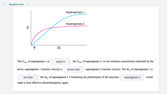 < Question 2 of 4 > Asparaginase 1 Asparaginase 2 [S] The Vmax of asparaginase 1 is equal to the Vmax of asparaginase 2. At t