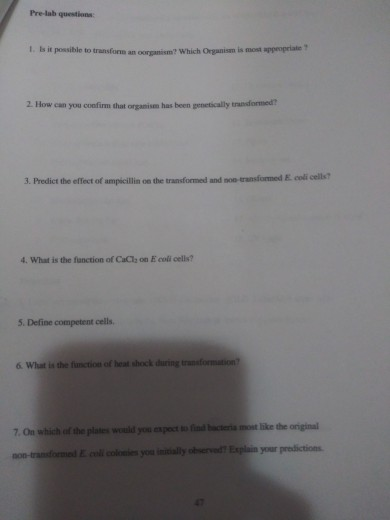 Pre-la question 1. Is it possible to transform an organism? Which Organism is most appropriate 2. How can you confirm that or
