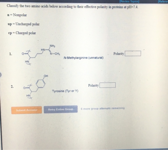 Review Topics] Referer Classify the two amino acids below according to their effective polarity in proteins at pH-7.4 n Nonpolar up Uncharged polar ep Charged polar HN 1. Polarity N-Methylarginine (unnatural) HN он 2. Polarity Tyrosine (Tyr or ) HN Retry Entire Group 6 more group attempts remaining Submit Answer