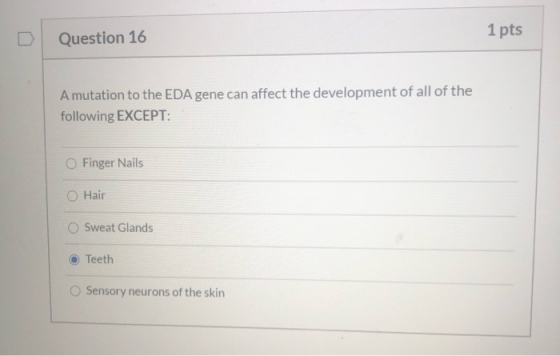 Question 16 1 pts A mutation to the EDA gene can affect the development of all of the following EXCEPT: Finger Nails Hair O S