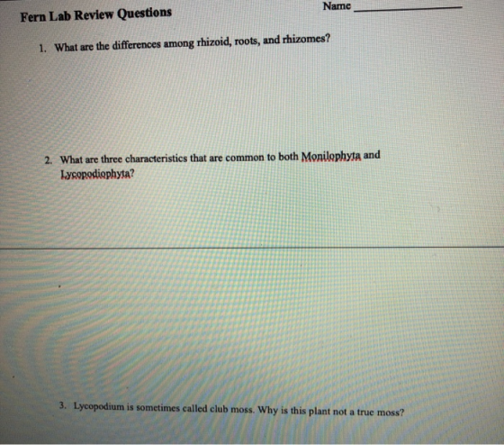 Name Fern Lab Review Questions 1. What are the differences among rhizoid, roots, and rhizomes? 2. What are three characterist