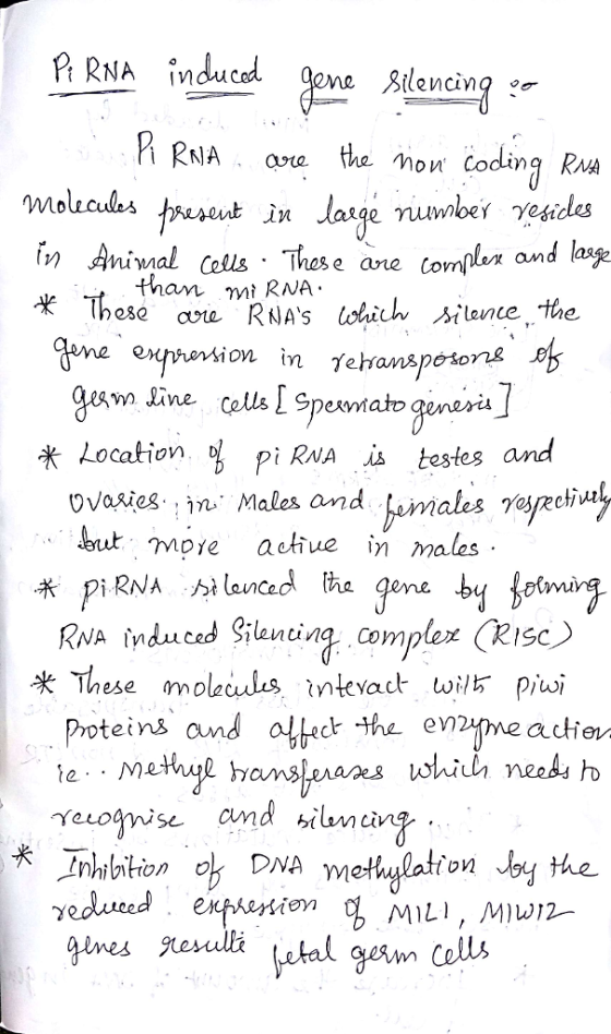P RNA induced gena ilencin RNJA e the mon Coding Ru in Aniwal cotls These ane comlen and lag tham mt RNA hese RNAs oich sila
