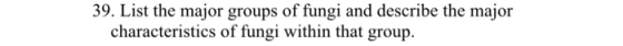 39. List the major groups of fungi and describe the major characteristics of fungi within that group.