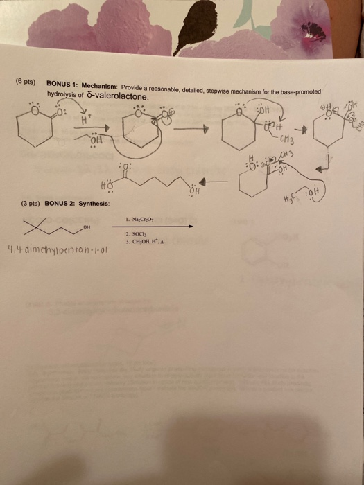 (6 pts) BONUS 1: Mechanism: Provide a reasonable, detailed, stepwise mechanism for the base-promo hydrolysis of 7-valerolacto