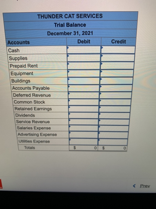 Credit THUNDER CAT SERVICES Trial Balance December 31, 2021 Accounts Debit Cash Supplies Prepaid Rent Equipment Buildings Acc