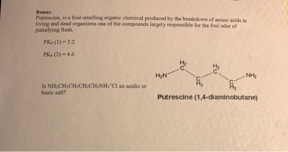 Bonus: Putrescine, is a foul-smelling organic chemical produced by the breakdown of amino acids in living and dead organisms