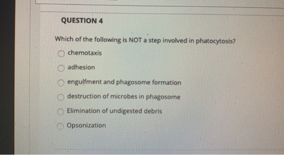QUESTION 4 Which of the following is NOT a step involved in phatocytosis? chemotaxis adhesion O engulfment and phagosome form