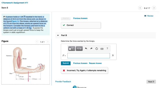 < Homework Assignment #11 Item 8 < 8 of 17 > A Review Submit Previous Answers IP A person holds a 1.26 N baseball in his hand
