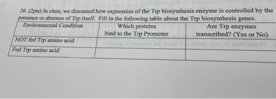 26. (2pts) In class, we discussed how expression of the Trp biosynthesis enzyme is controlled by the presence or absence of T
