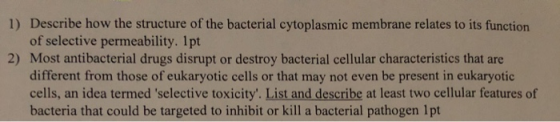 1) Describe how the structure of the bacterial cytoplasmic membrane relates to its function of selective permeability. Ipt 2)