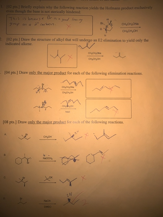 02 pts.] Briefly explain why the following reaction yields the Hofmann product exclusively even though the base is not steric