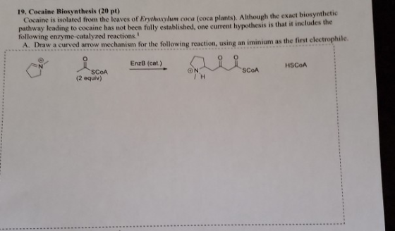 19. Cocaine Biosynthesis (20 pt) Cocaine is isolated from the leaves of whawhum coca (Coca plants). Although the exact biosyn