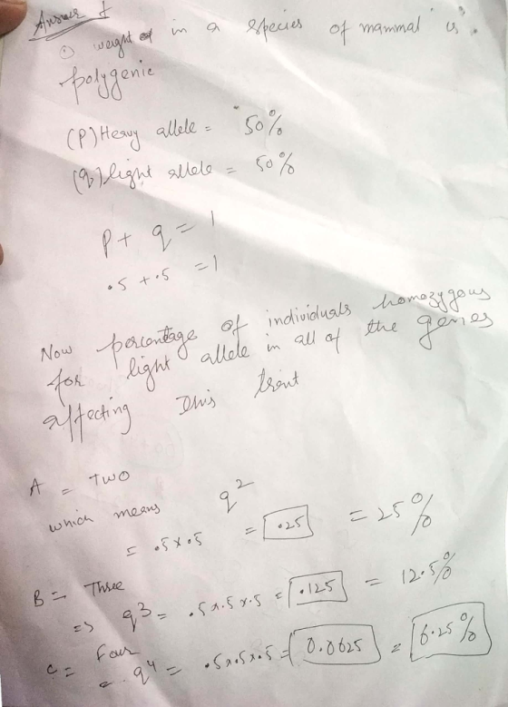 eces olyqenie (P)Heng allele , So% 6h A Tuwo o/ 23 ゅSn.SX1S,ニ10. -