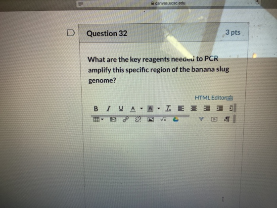 canvas.ucsc.edu Question 32 3 pts What are the key reagents needed to PCR amplify this specific region of the banana slug gen
