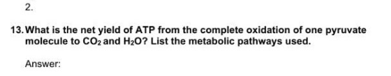 13. What is the net yield of ATP from the complete oxidation of one pyruvate molecule to CO2 and H2O? List the metabolic path