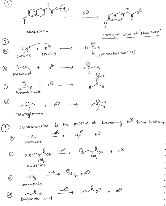 -но Naproxen ConJugat base et Naproxen Но (water) H-0- H (proton) ( protanated wates) но-сн, memanod не не Formaldehyde H. T