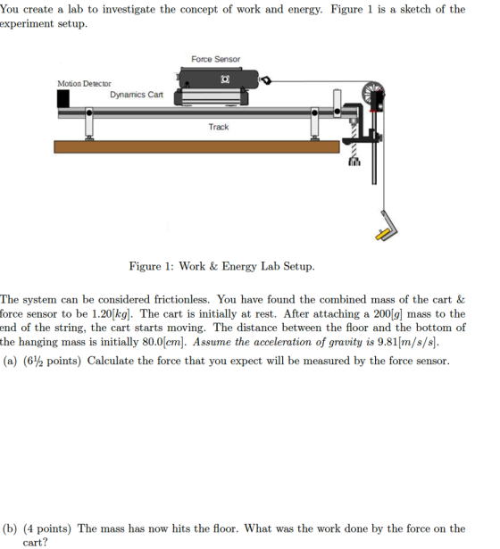 You create a lab to investigate the concept of wor
