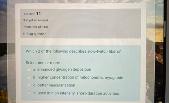 Question 11 Not yet answered Points out of 1.00 P Flag question Which 2 of the following describes slow-twitch fibers? Select