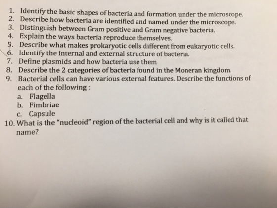 1. Identify the basic shapes of bacteria and formation under the microscope. 2. Describe how bacteria are identified and name