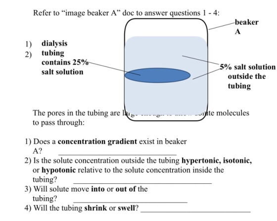 Refer to image beaker A” doc to answer questions 1 - 4: beaker dialysis tubing contains 25% salt solution 5% salt solution o