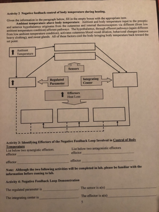 Activity 2 Negative feedback control of body temperature during heating. Given the information in the paragraph below, fill i