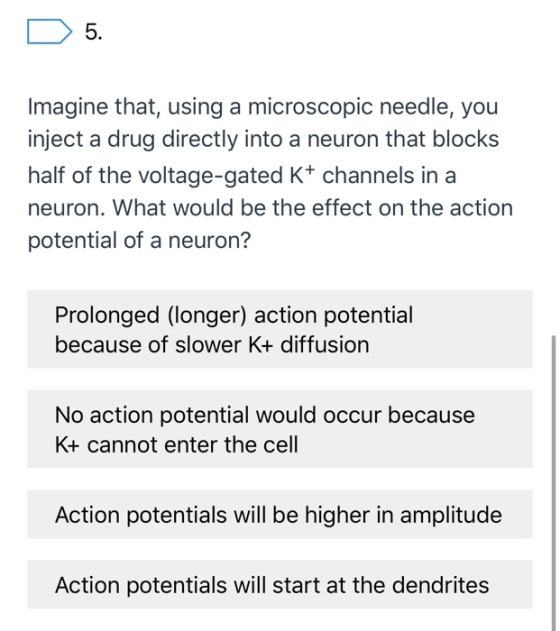 D 5. Imagine that, using a microscopic needle, you inject a drug directly into a neuron that blocks half of the voltage-gated