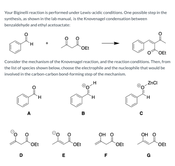 Your Biginelli reaction is performed under Lewis-acidic conditions. One possible step in the synthesis, as shown in the lab m