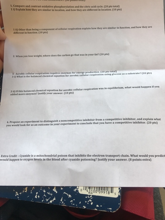 1. Compare and contrast oxidative phosphorylation and the citric acid cycle. (20 pts total) 1 i) Explain how they are similar in location, and how they are different in location. (10 pts) 1 li) Other than being a component of cellular respiration explain how they are similar in function, and how they are different in function. (10 pts) 2. When you lose weight, where does the carbon go that was in your fat? (20 pts) 3. Aerobic cellular respiration requires enzymes for energy production (20 pts tot 31) What is the balanced chemical I equation for aerobic cellular respiration using glucose as a substrate? (10 pts) 3 il) If this balanced chemical equation for aerobic cellular respiration was in equilibrium, what would happen if you added more enzymes? Justity your answer. (10 pts) 4. Propose an experiment to distinguish a noncompetitive inhibitor from a competitive inhibitor, and you would look for as an outcome in your experiment to conclude that you have a competitive inhib explain what itor. (20 p ts) Extra Credit - Cyanide is a mitochondrial poison that inhibits the electron transport chain. What would you predict would happen to oxygen levels in the blood after cyanide poisoning? Justify your answer. (8 points extra O43100 09918T