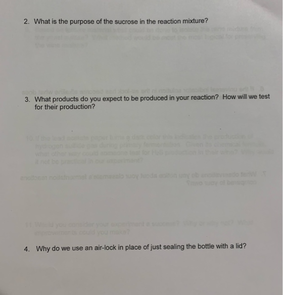 2. What is the purpose of the sucrose in the reaction mixture? 3. What products do you expect to be produced in your reaction